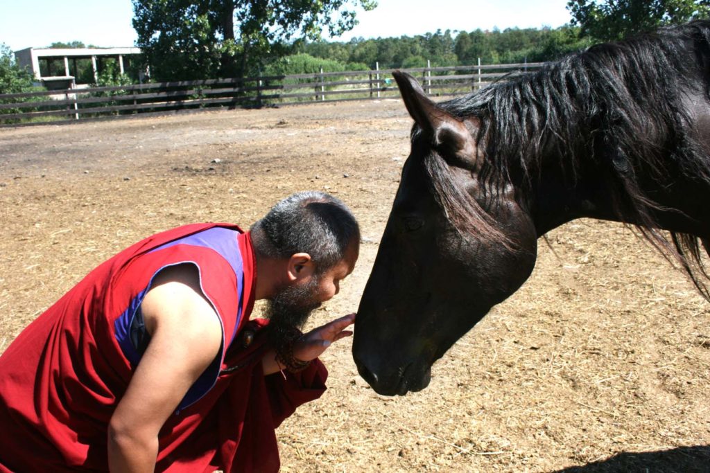 Tse Thar Ritual – Folwark,  Centaurus Foundation, Szczedrzykowice, Poland